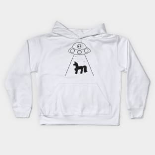 Where The Unicorns Went Kids Hoodie